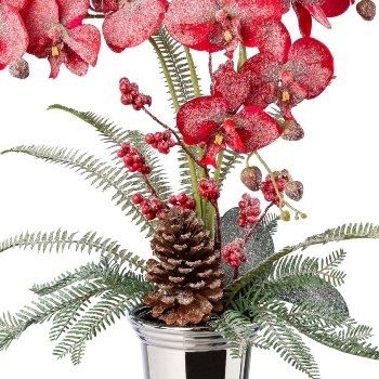 Phalaenopsisgesteck in Keramikvase, 70cm, rot,