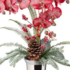 Phalaenopsisgesteck in Keramikvase, 70cm, rot,