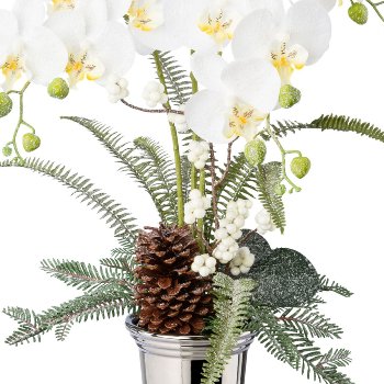 Phalaenopsisgesteck in Keramikvase, 70cm, weiß,