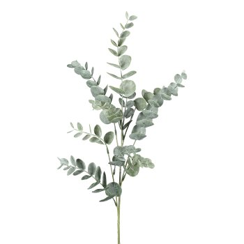 Eucalyptus branch, 43cm, grey-green