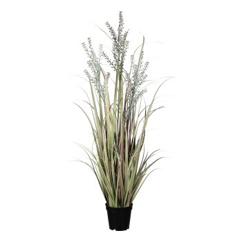 Ornamental grass in pot, 98 cm, green-pink