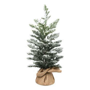 Araucaria im Jutesack, 53cm, schnee