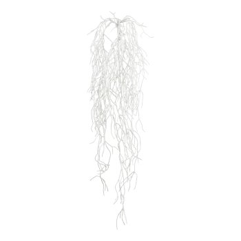 Rhipsalis-Hängebusch, 80cm, weiß