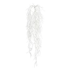 Rhipsalis bush, 80 cm, white