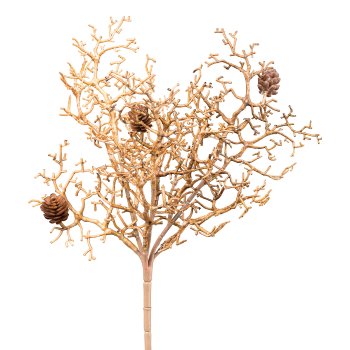 Coral bush, 30cm, brown