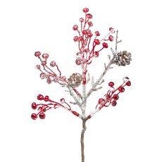 Berry bush, 25 cm, frost