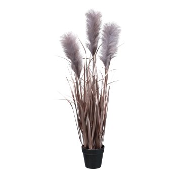 Pampas grass in pot, 91cm, rose-gold