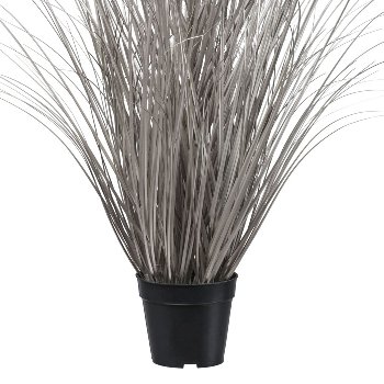 Grass in pot, 120cm, champagne