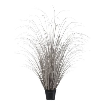 Grass in pot, 120cm, champagne