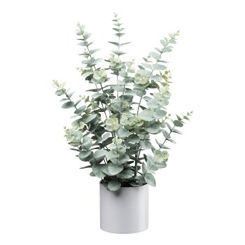 Eucalyptus in white Melamin pot, 66cm, gray-green