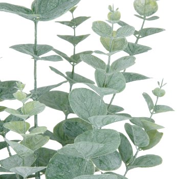 Eucalyptus, 52cm, grey green, in white melamine pot 11x10cm