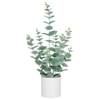 Eucalyptus, 52cm, grey green, in white melamine pot 11x10cm