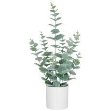 Eukalyptus, 52cm, graugrün, im weißen Melamintopf 11x10cm
