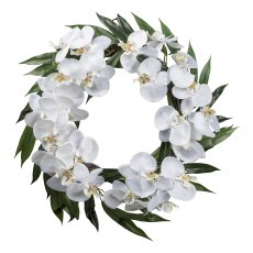Phalenopsis wreath, 58 cm,