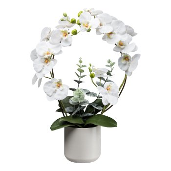 Phalaenopsis im Keramiktopf, 53cm, weiß