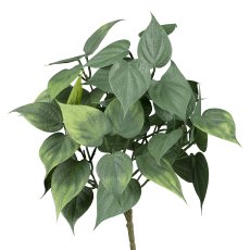 Pothos leaf bush, 33 cm, green