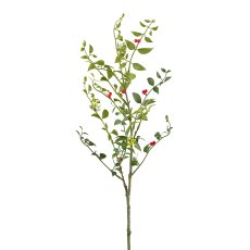 Ruscus branch with flowers and