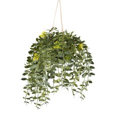 Columne vine in hanging pot, 35cm, green