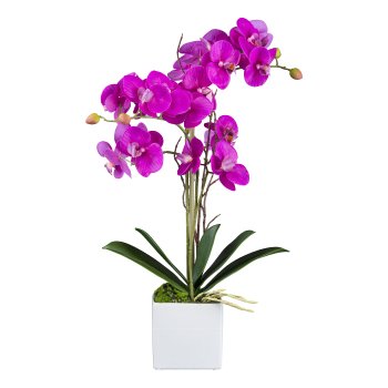 Orchidee im Keramiktopf, 54 cm, lila "Real Touch"