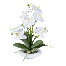 Orchidee im Keramiktopf, 41cm, weiß