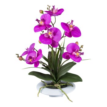 Orchid in ceramic pot, 41cm, purple