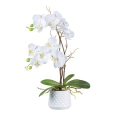 Orchidee im Keramiktopf, 59 cm, weiß "Real Touch"
