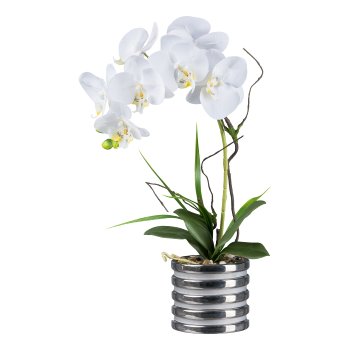 Orchidee im Keramiktopf, 53 cm, weiß "Real Touch"