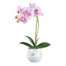 Orchidee im Keramiktopf, 34 cm, rosa "Real Touch"