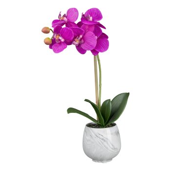 Orchid in ceramic pot, 34cm, purple