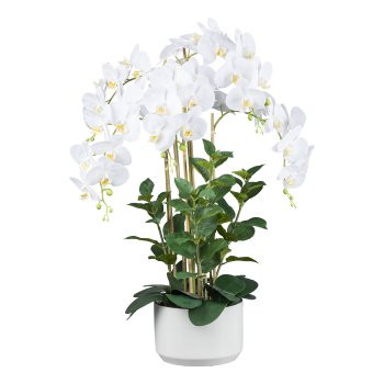 Orchidee im Keramiktopf, 93 cm, weiß "Real Touch"