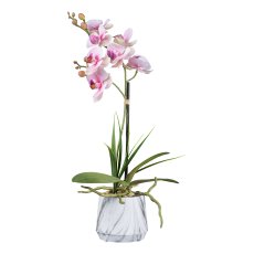 Orchidee im Melaminetopf, 50 cm, rosa "Real Touch"