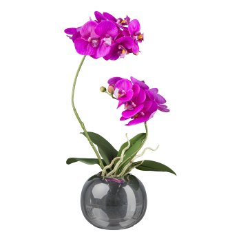 Orchid in silver pot, 40cm, purple