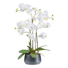 Orchid in melamine pot, 58 cm,