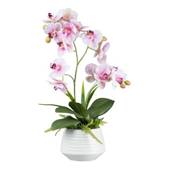 Orchid in ceramic pot, 58cm, pale pink, Real Touch