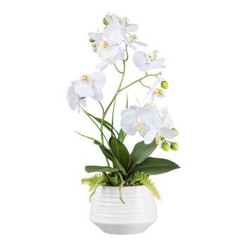 Orchidee im Keramiktopf, 58cm, weiß, Real Touch