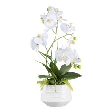 Orchidee im Keramiktopf, 58 cm, weiß "Real Touch"