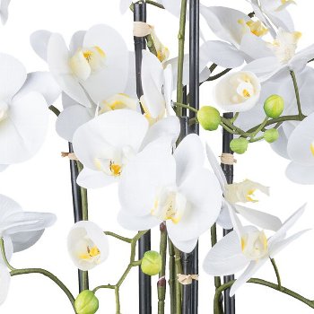 Orchidee im Erdballen, 93cm, weiß "Real Touch"