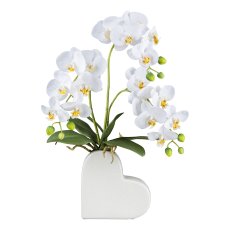 Orchid in ceramic pot, 53 cm,
