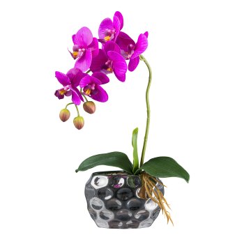 Orchid in silver bowl, 35cm, purple