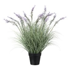 Grass with purple flowers in pot, 60cm, purple