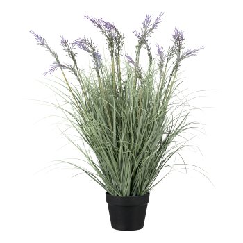 Gras mit lila Blüten im Topf, 75cm, lila