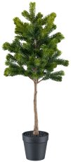 Fir stem, 55cm, green