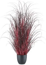 Grass in pot, 80cm, dark red