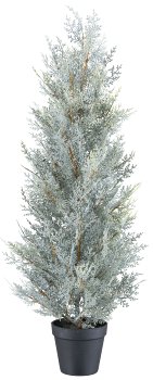 Conifer tree, 79cm, grey