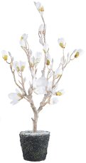 Magnolia iced in a ball, 94cm, white