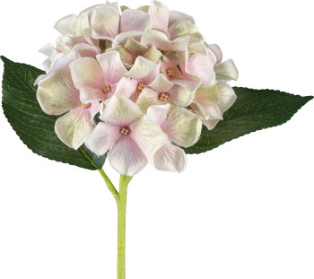Hydrangea, 30cm, pastel pink