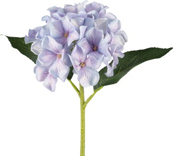 Hydrangea, 30cm, light purple