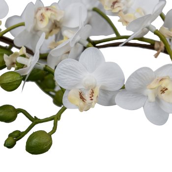 Phalaenopsis curved in heart shape, 40cm, white, in ceramic pot