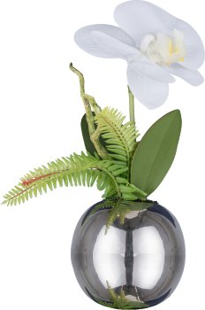 Phalenopsis im Silbertopf, 22cm, weiß