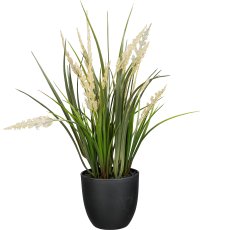 Grass in pot, 40cm, green